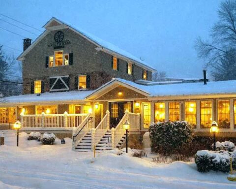 Outdoor patio seating surrounded by lush greenery at Water Wheel Tavern